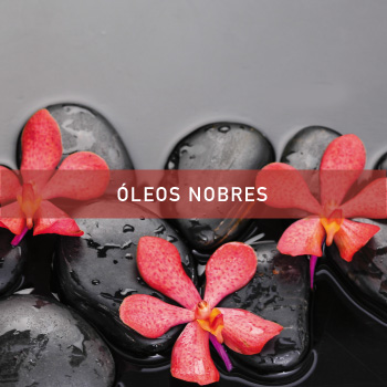 Óleos nobres