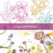 linea_corporal